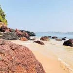 grand-island-monkey-beach-goa