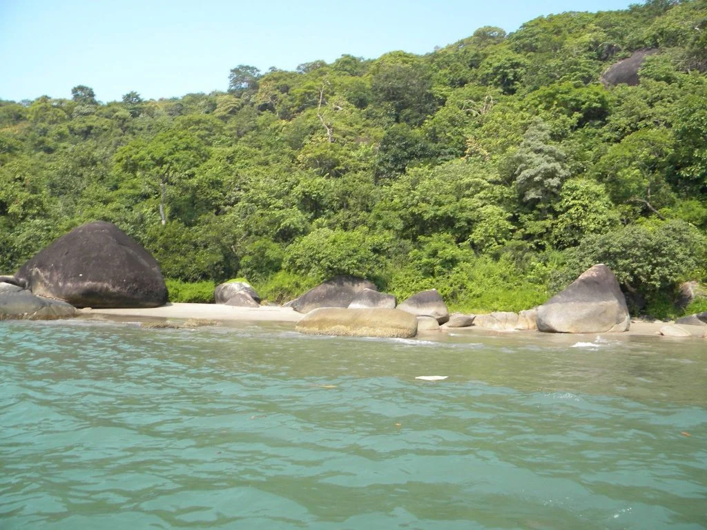 Butterfly Island, Goa