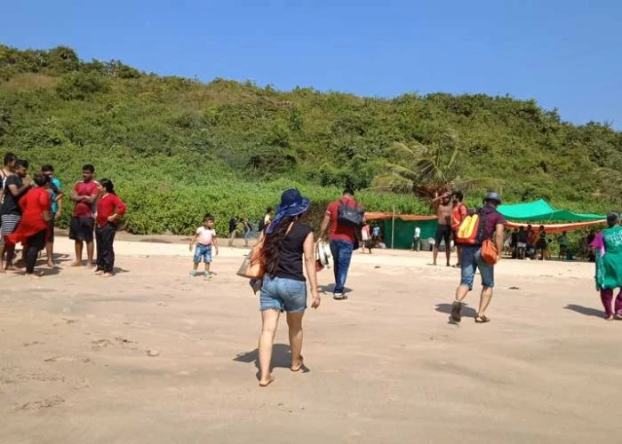Bat-island,-Goa