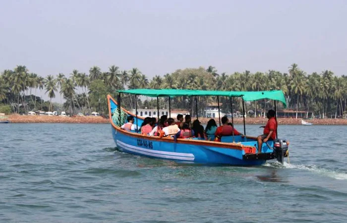 dolphin-boat-safari-goa